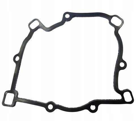 USZCZELKA KARTERU DO HISUN TACTIC 550 Martinelli