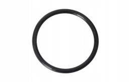 USZCZELKA O-RING 35X3 DB250 MZK Martinelli