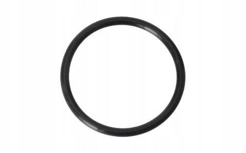 USZCZELKA O-RING 35X3 DB250 MZK Martinelli