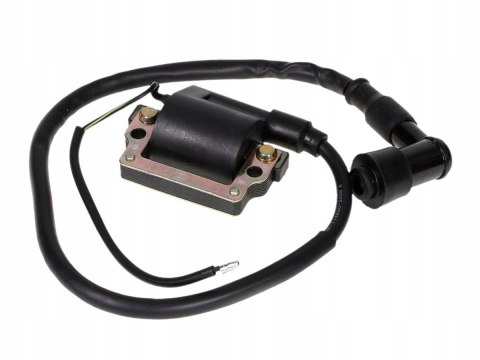 CEWKA WYSOKIEGO NAPIĘCIA MOTOROWER FIGHTER BARTON Martinelli