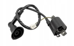 CEWKA WYSOKIEGO NAPIĘCIA SKUTER BARTON RS Martinelli