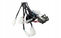 INSTALACJA ELEKTRYCZNA DO MOTOROWERU FR 2 Martinelli