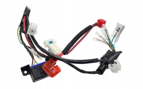 INSTALACJA ELEKTRYCZNA DO MOTOROWERU FR 2 Martinelli