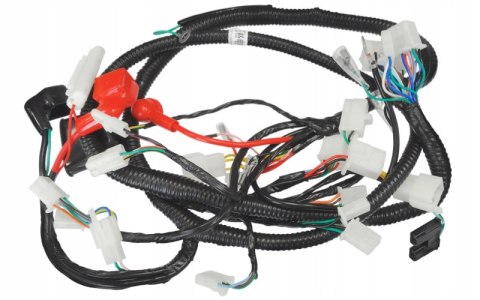 INSTALACJA ELEKTRYCZNA SCALPEL Martinelli