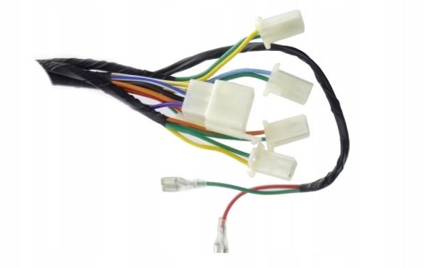 INSTALACJA LICZNIKA DO SKUTERA PRIMO Martinelli