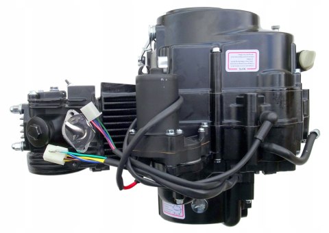 SILNIK 125CC 4T MOTOROWER 139FMA/FMB KOMPLETNY KPL Martinelli