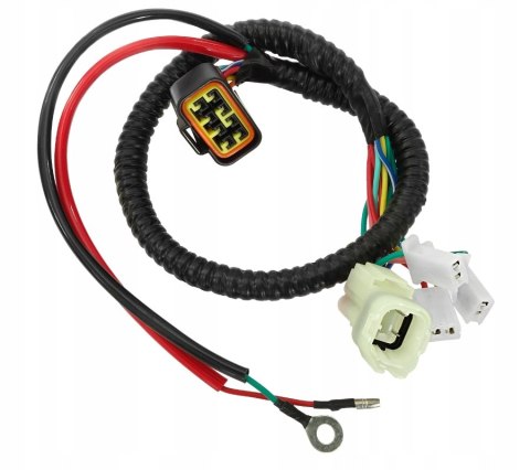 WIĄZKA ELEKTRYCZNA MODUŁU FIGHTER E4 Martinelli
